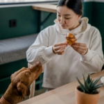 5 Rekomendasi Pet Friendly Cafe di Jakarta untuk Hangout di Akhir Pekan