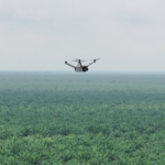 Teknologi Drone Thermal untuk Mencegah Kebakaran di Perkebunan Luas