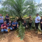 Holding Perkebunan Nusantara melalui PTPN IV Regional V Mutasikan TBM-3 ke TM-1 Seluas 1.119 Hektare pada Awal 2026