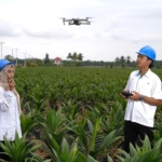 Holding Perkebunan Nusantara Percepat Transformasi Digital, PalmCo Sertifikasi Operator Drone Perkuat Sistem Pemantauan Kebun