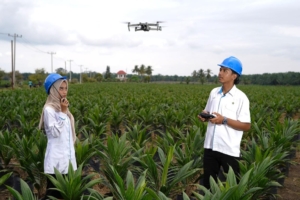 Holding Perkebunan Nusantara Percepat Transformasi Digital, PalmCo Sertifikasi Operator Drone Perkuat Sistem Pemantauan Kebun