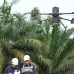 Manajemen Vegetasi dan Analisis Koridor Transmisi dengan Software LiDAR Terrasolid