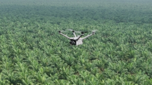 Pemantauan Keamanan Hutan dan Deteksi Kebakaran Lahan dengan DJI Dock 3