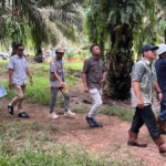 Holding Perkebunan Nusantara Perkuat Pengawasan Operasional, PTPN IV Regional VII Tingkatkan Produktivitas Kebun