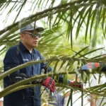 Holding Perkebunan Nusantara Siaga Hadapi Kemarau, PalmCo Perkuat Deteksi Dini Karhutla dan Strategi Agronomi