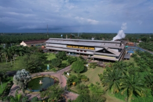 Melalui PalmCo, Holding Perkebunan Nusantara Perluas Akses Digital bagi Sekolah di Pelosok