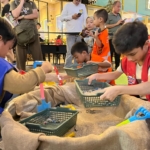 JMFF 2026 Tarik 4.026 Pengunjung, Edukasi Mineral Sambil Merajut Kesatuan Indonesia