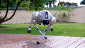 Robot Unitree Go2 untuk Edutainment dan Interaksi Publik