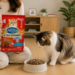 Dry Food Kucing yang Bagus untuk Kesehatan dan Nutrisi Anabul