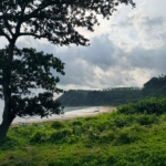 Lampung Selatan Jadi Lokasi Relawan Bakti BUMN 2026, PTPN Group dan InJourney Group Siap Bersinergi