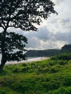 Lampung Selatan Jadi Lokasi Relawan Bakti BUMN 2026, PTPN Group dan InJourney Group Siap Bersinergi