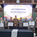 PTPN Group Akselerasi Swasembada Bawang Putih Nasional