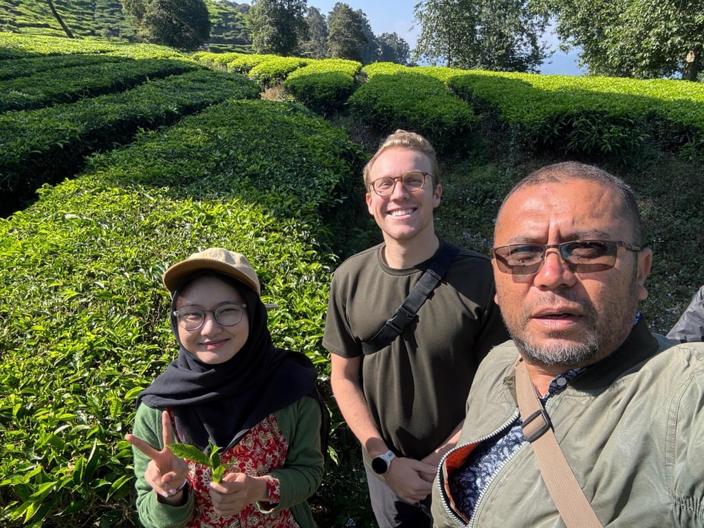 Holding Perkebunan Nusantara Dorong Promosi Global, Kebun Rancabali PTPN I Jadi Sorotan Media Amerika Serikat