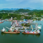 Sejumlah Komoditas Tumbuh Positif, Pelindo Multi Terminal Branch Lembar Catat kenaikan Produksi Semester I 2026