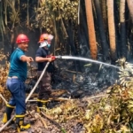 Antisipasi Karhutla, Holding perkebunan Nusantara melalui PTPN IV PalmCo Perkuat Deteksi Dini dan Patroli di Sumatera-Kalimantan